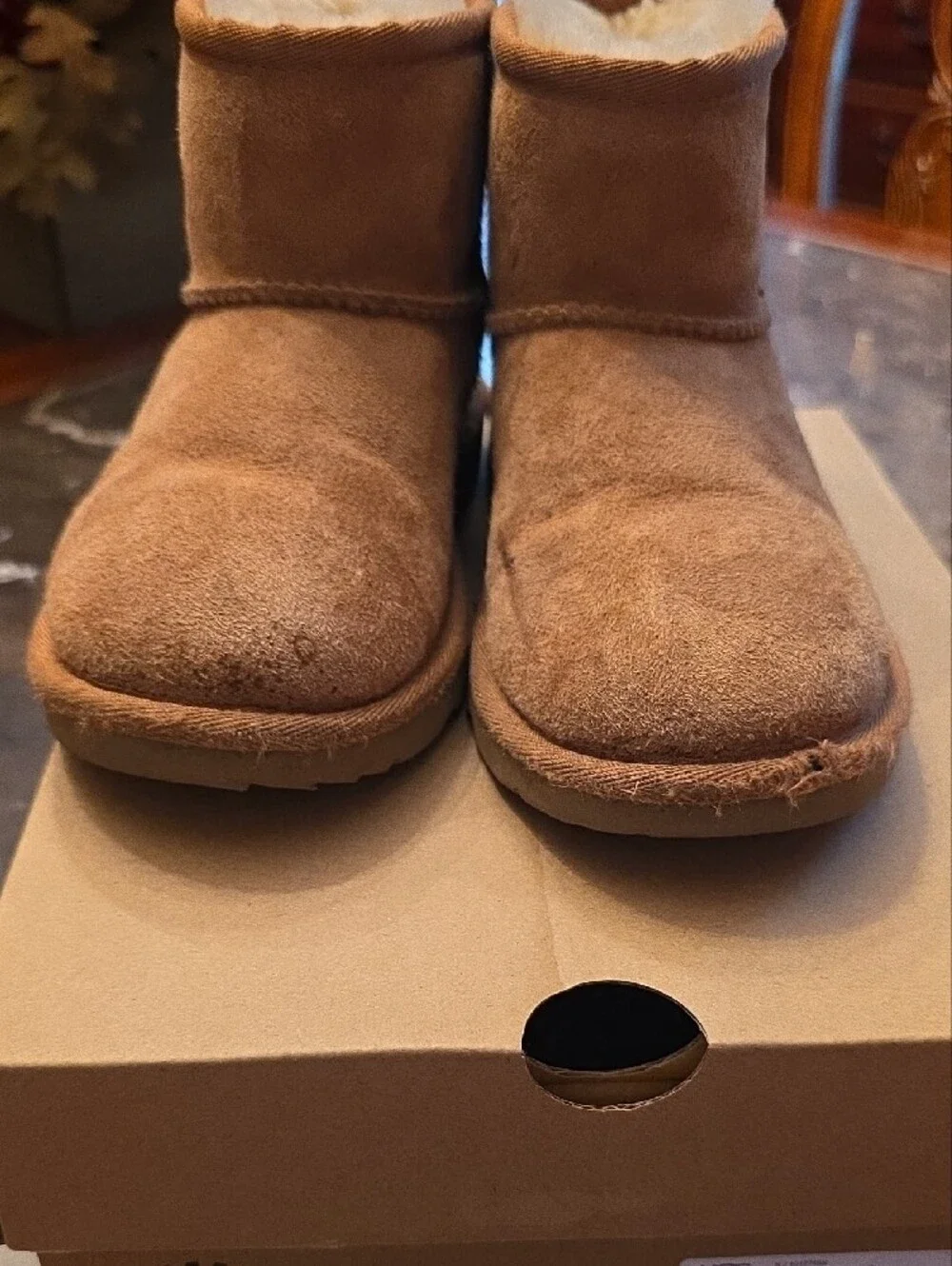 UGG Kids Short Suede Boot in Chestnut Brown